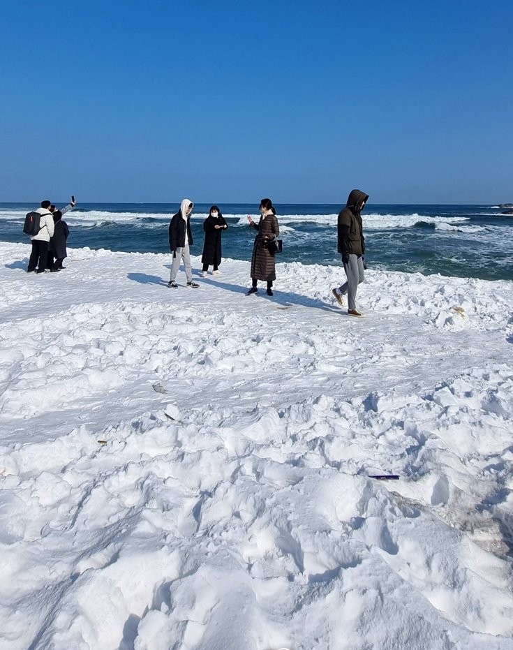 음주폭설로 하얗게 뒤덮힌 강릉 경포대 해변딸 키우는 집에 강아지 키우면 생기는 일.jpg운전 사망자를 90%까지 감소시킨 일본 | 인스티즈