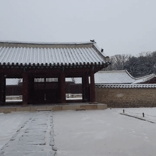 오늘자 눈 내리는 종묘 | 인스티즈
