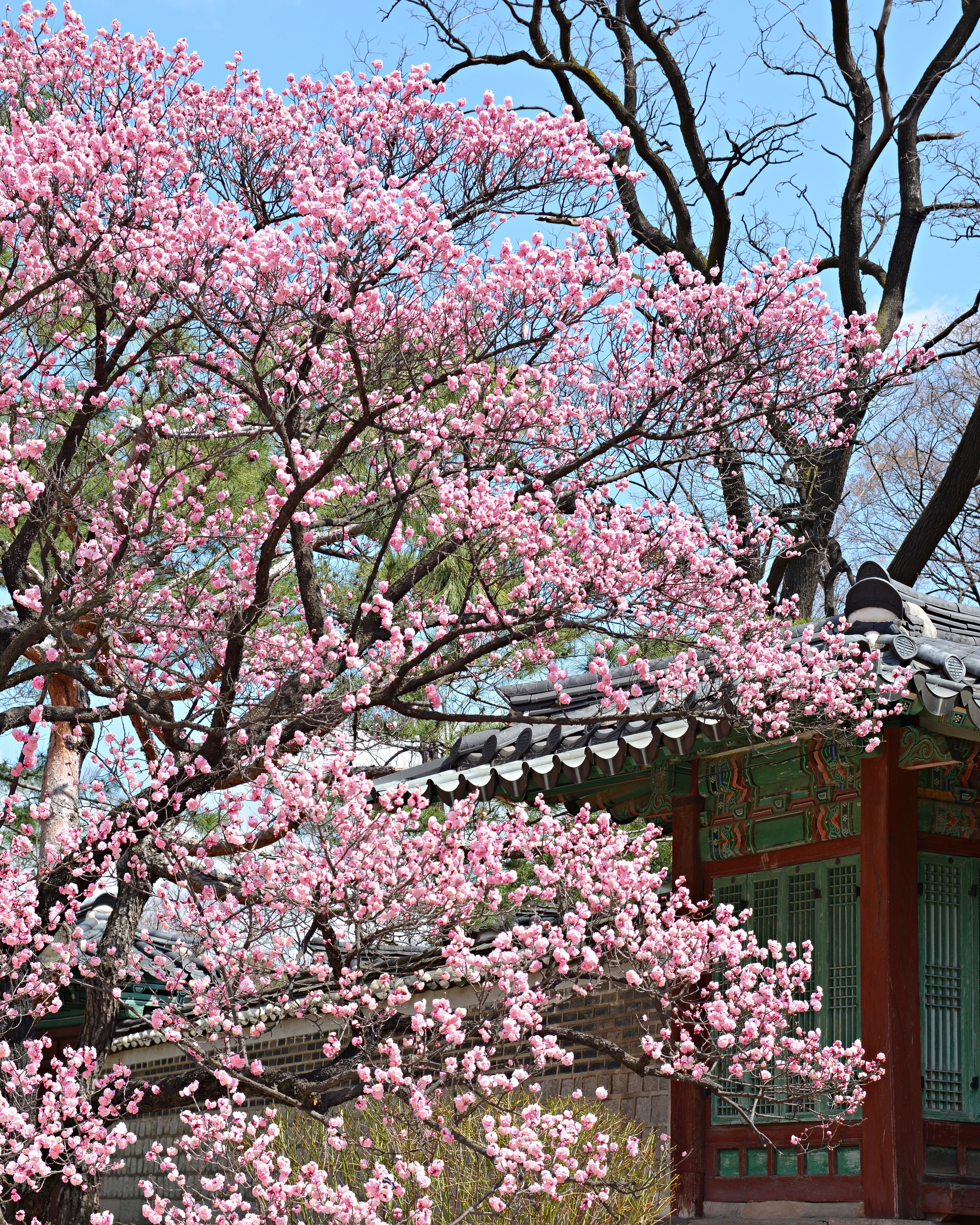 63c8aee2a54c05bf83cdba5306650f527870d62d