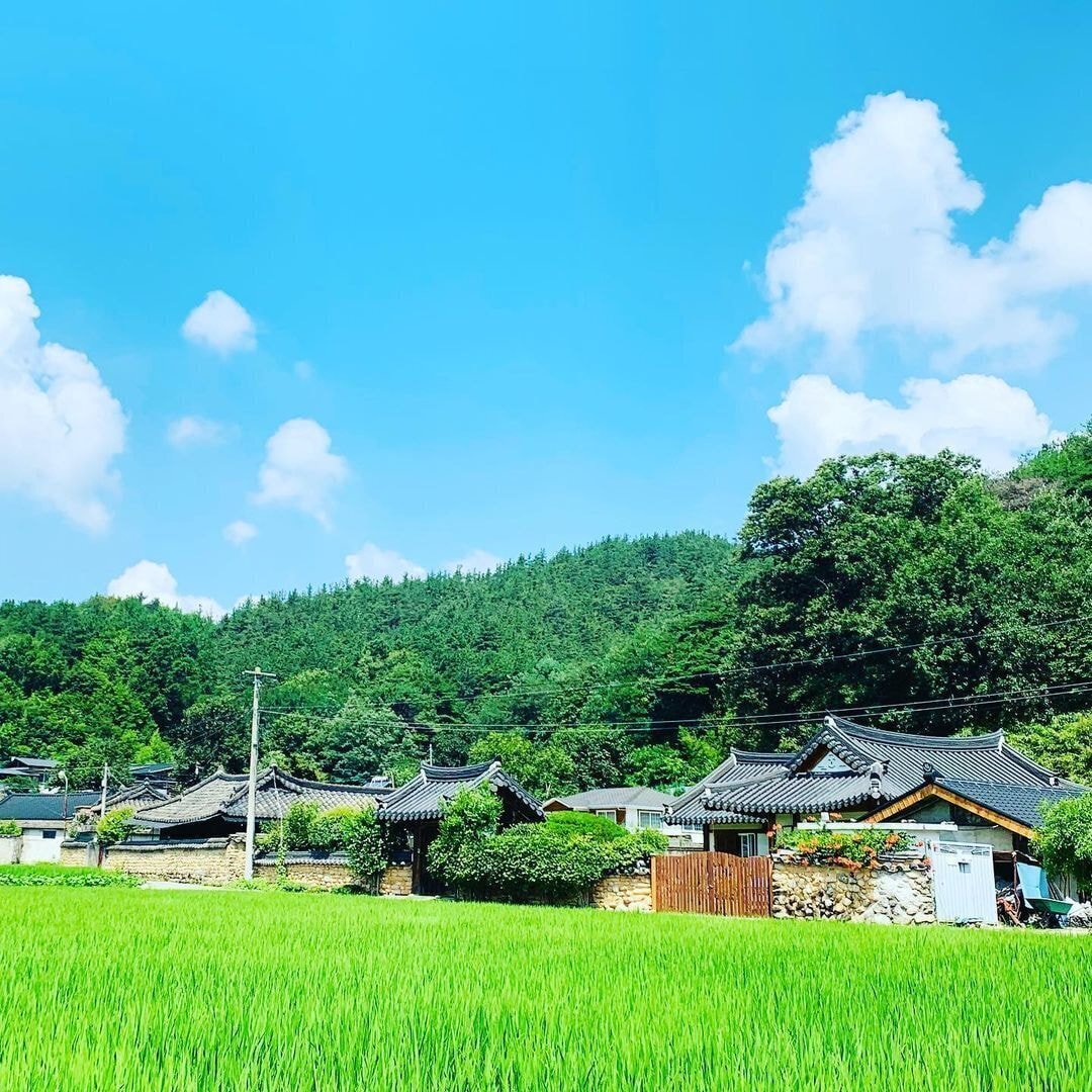 독일 다니엘의 인스타그램에 올라오는 한국 풍경 | 인스티즈