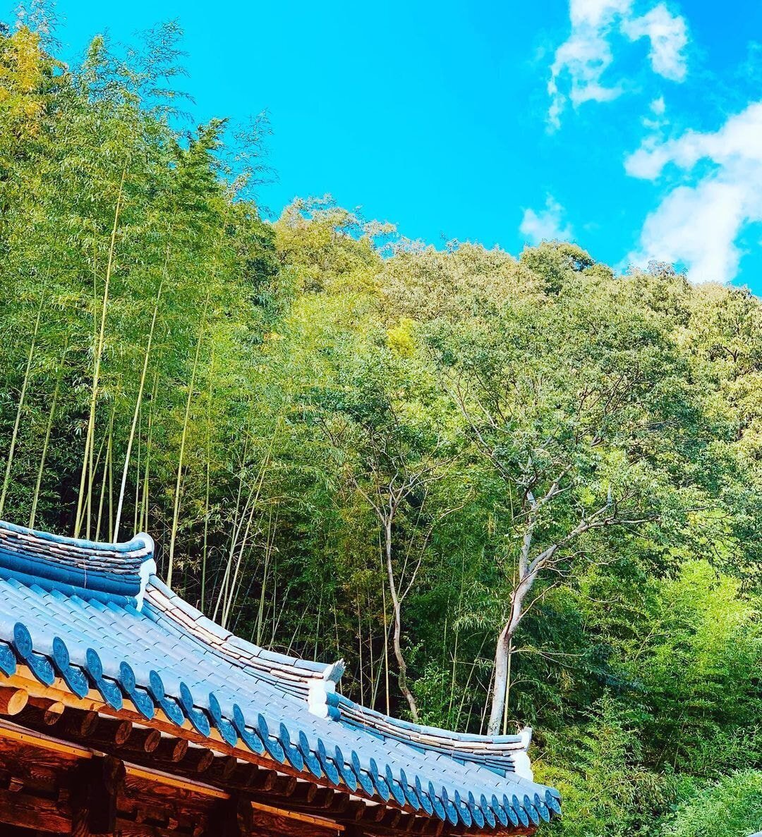 독일 다니엘의 인스타그램에 올라오는 한국 풍경 | 인스티즈