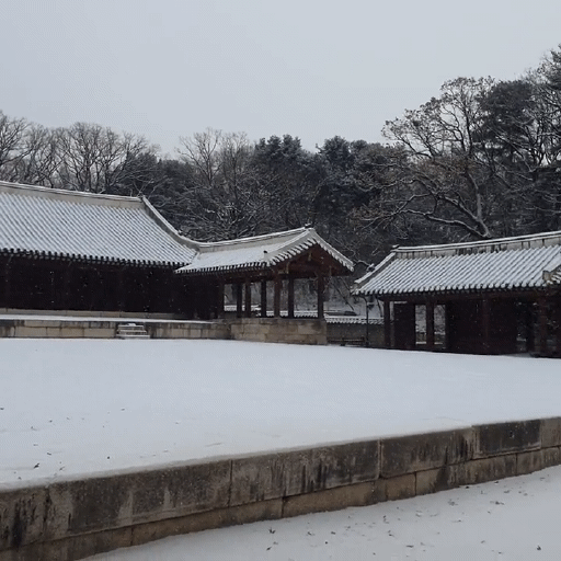 오늘자 눈 내리는 종묘 | 인스티즈