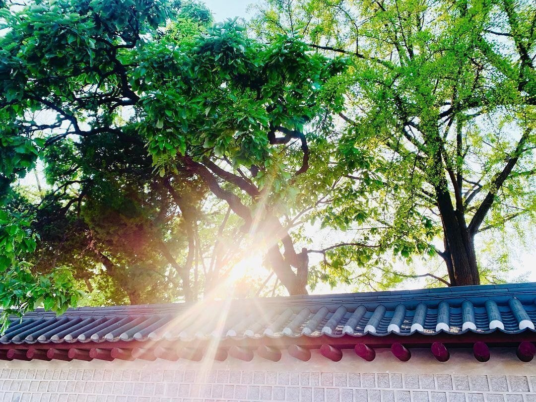 독일 다니엘의 인스타그램에 올라오는 한국 풍경 | 인스티즈