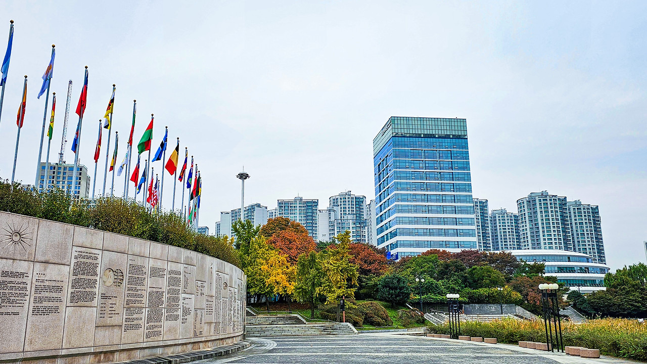 올림픽스포츠 이미지