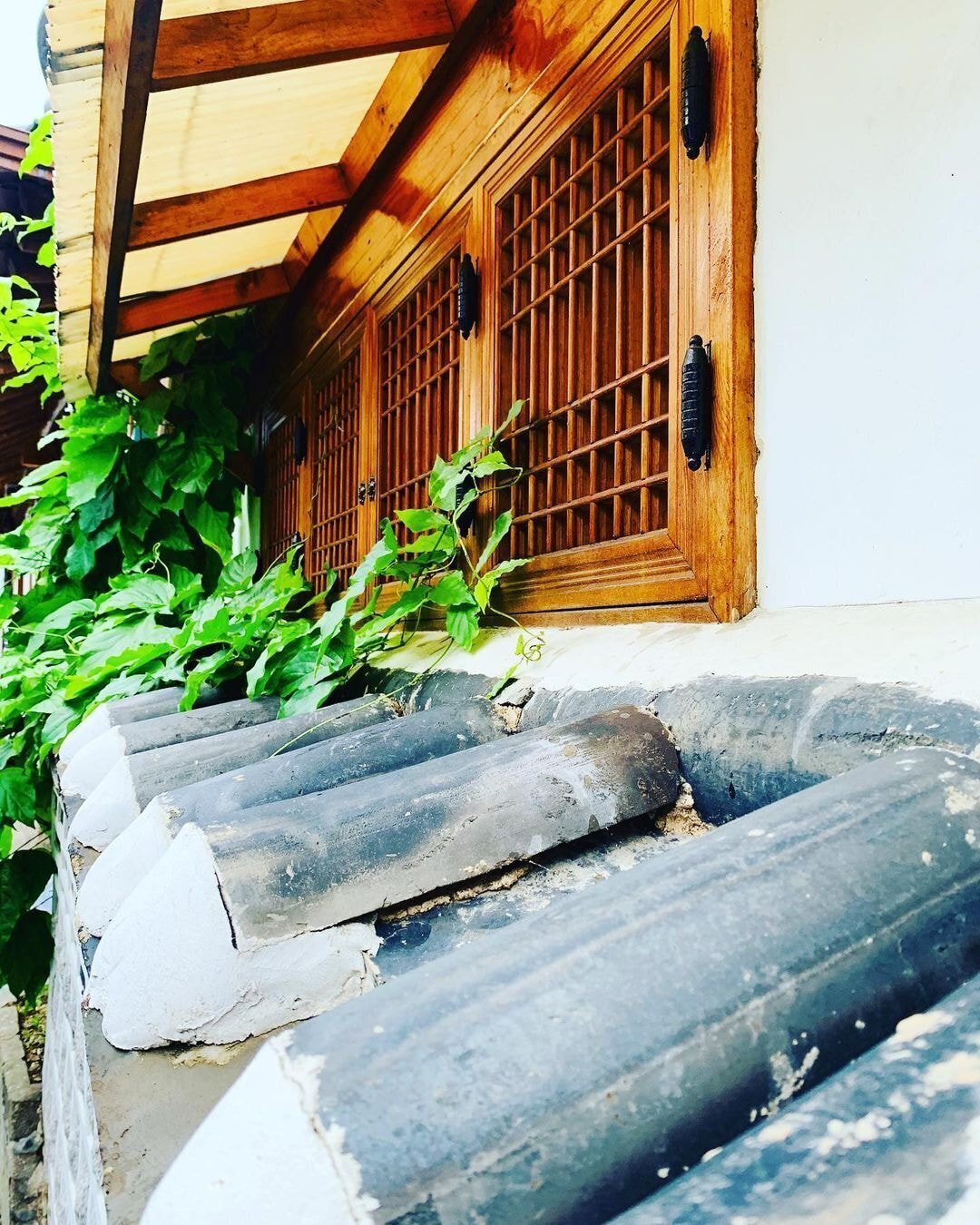 독일 다니엘의 인스타그램에 올라오는 한국 풍경 | 인스티즈