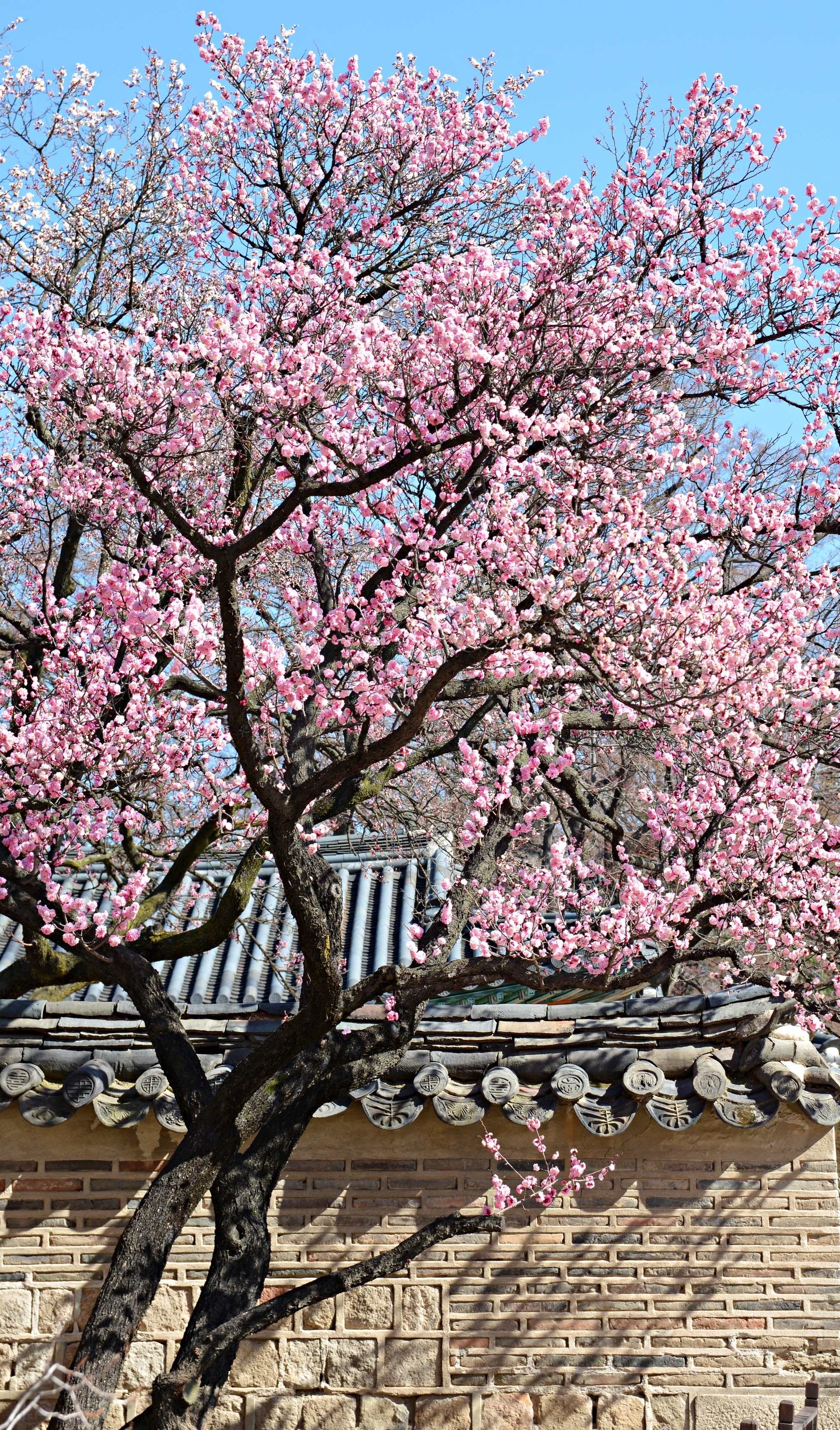 897d7e85c5603df1d24223405db40bab71dc7198