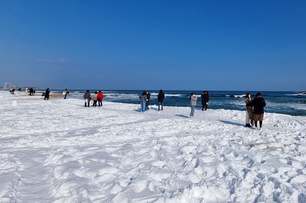 음주폭설로 하얗게 뒤덮힌 강릉 경포대 해변딸 키우는 집에 강아지 키우면 생기는 일.jpg운전 사망자를 90%까지 감소시킨 일본 | 인스티즈