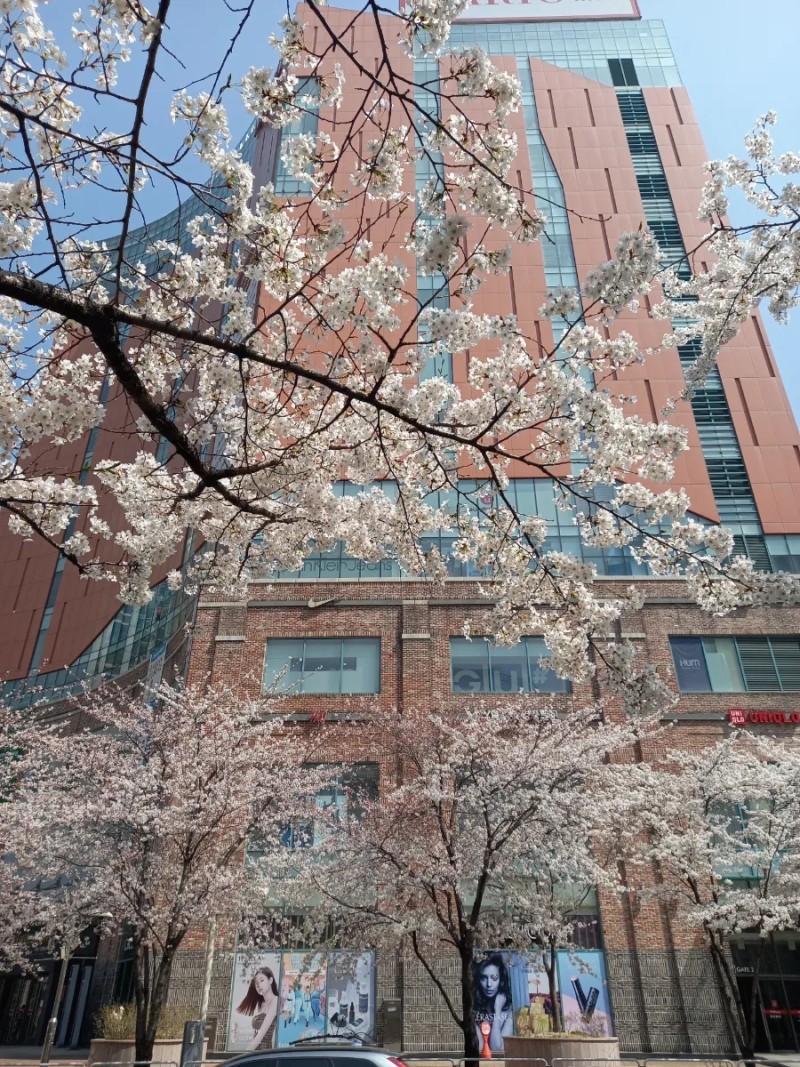 8f64644664d2487d4429627a2f5077d4d5f28b5d