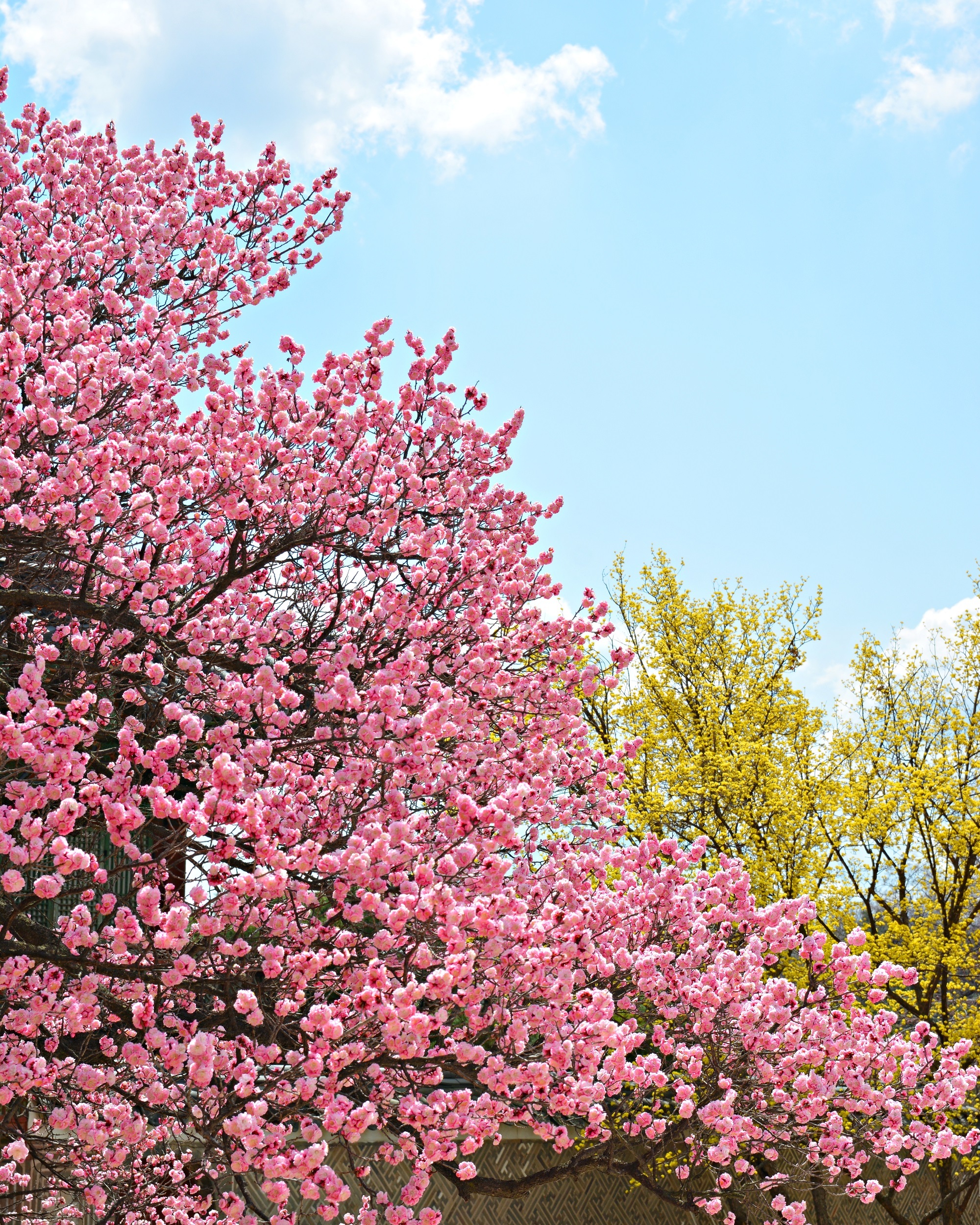 94921da5c60f6510b91f7b040c28b6ccd0c42b5a