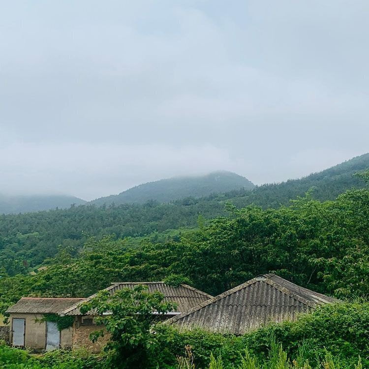 독일 다니엘의 인스타그램에 올라오는 한국 풍경 | 인스티즈