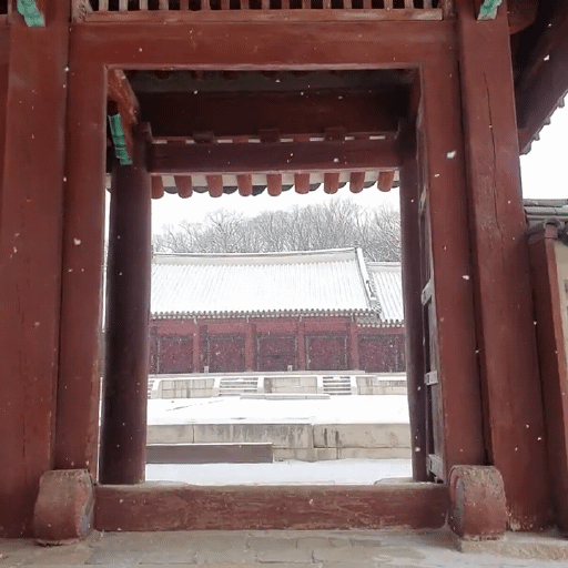 오늘자 눈 내리는 종묘 | 인스티즈