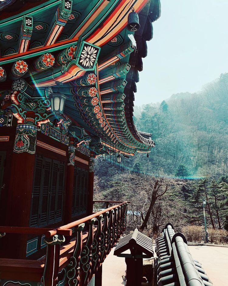 독일 다니엘의 인스타그램에 올라오는 한국 풍경 | 인스티즈