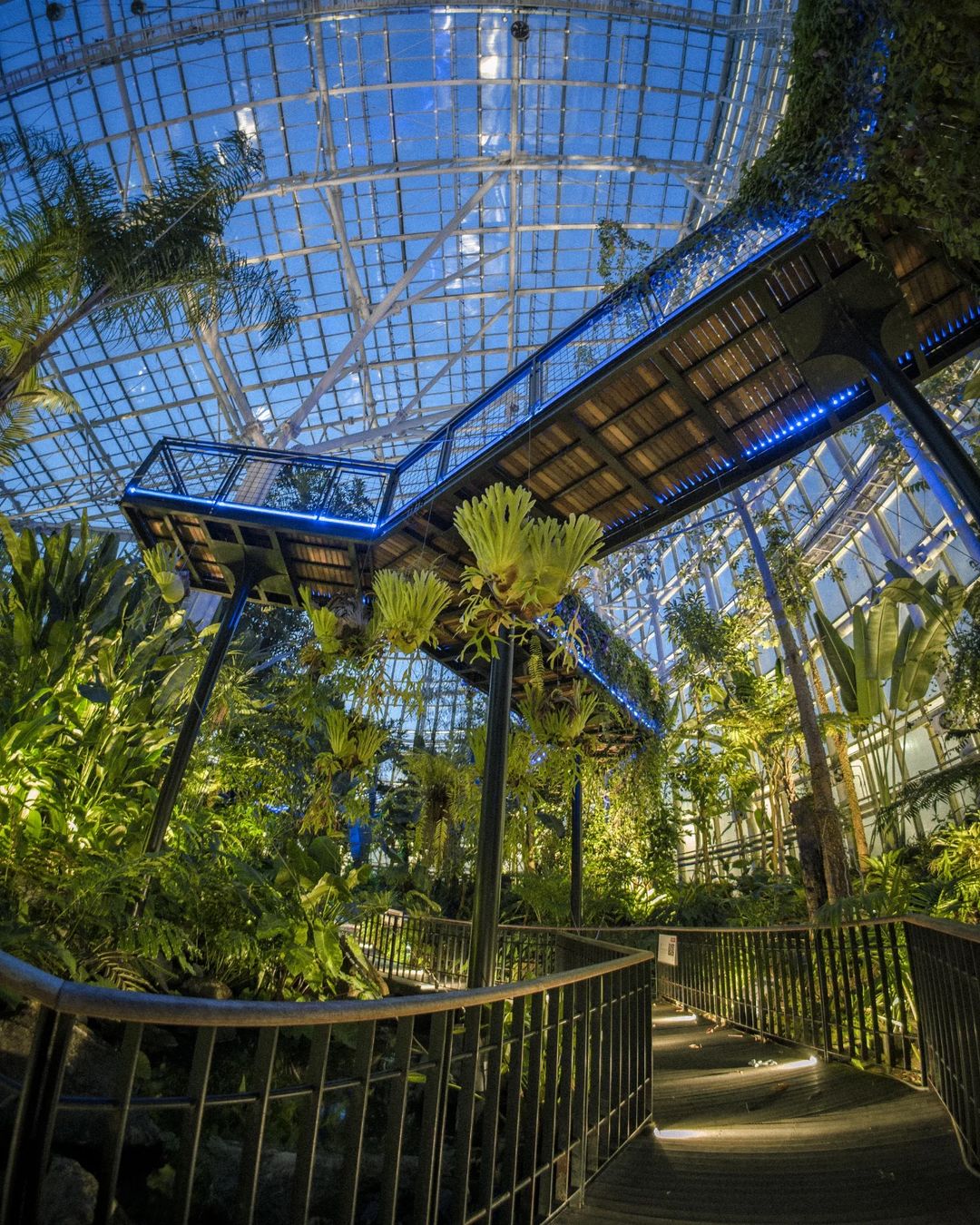 2024 국립세종수목원 야행(夜行) | 인스티즈