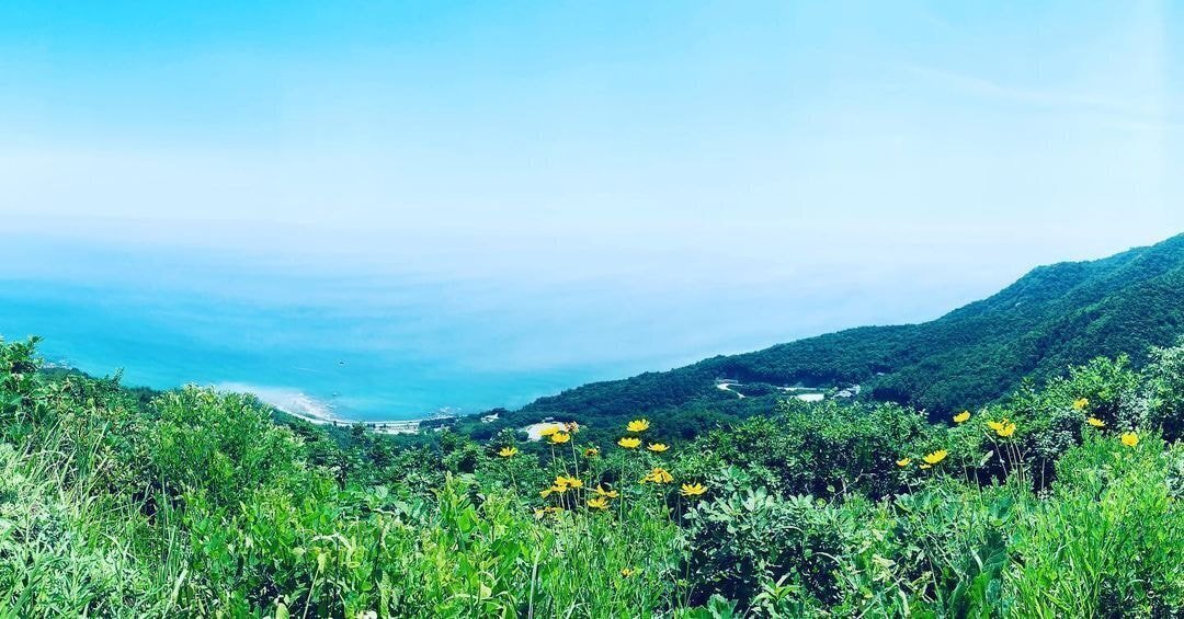 독일 다니엘의 인스타그램에 올라오는 한국 풍경 | 인스티즈