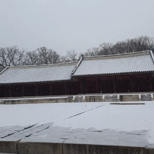 오늘자 눈 내리는 종묘 | 인스티즈