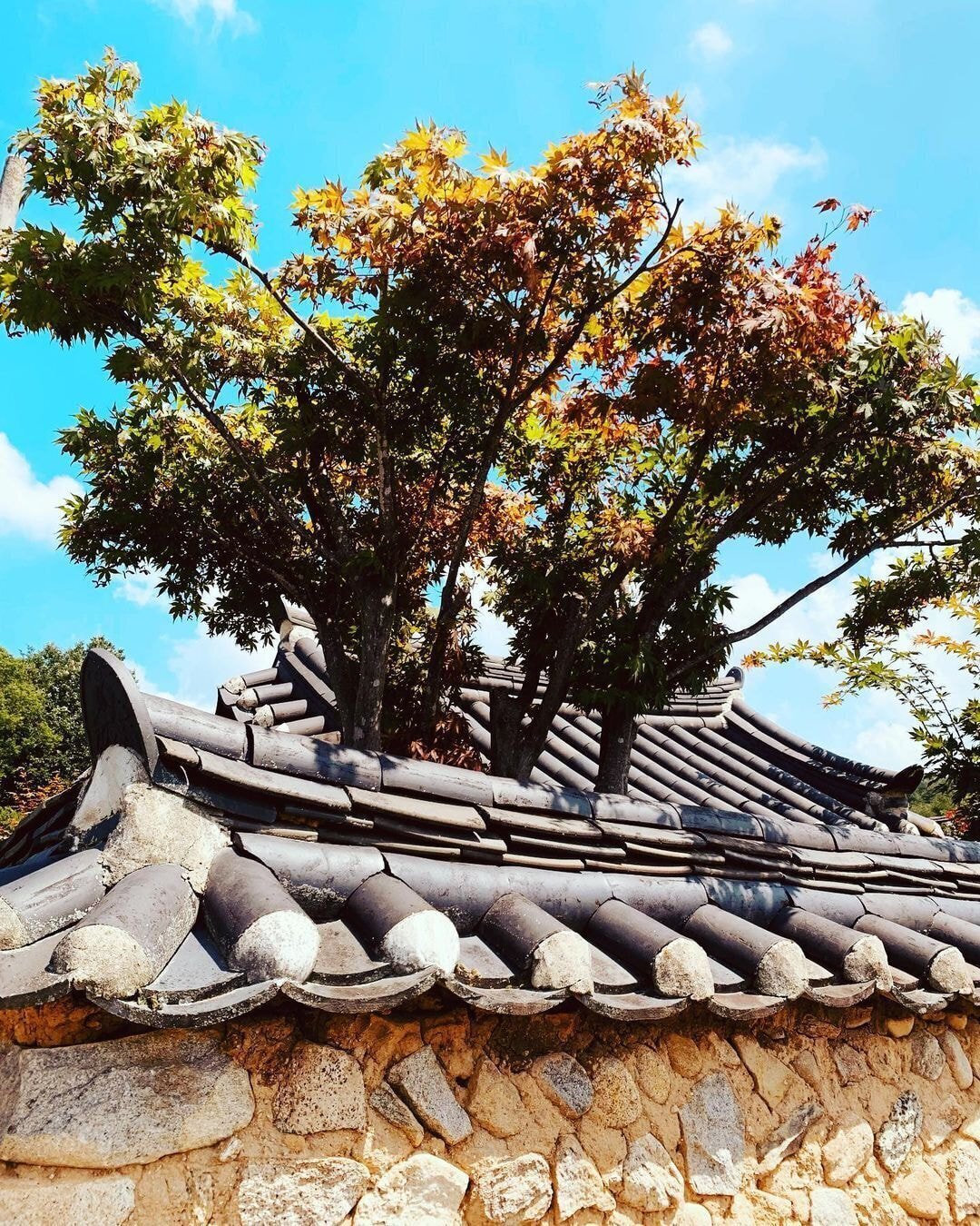 독일 다니엘의 인스타그램에 올라오는 한국 풍경 | 인스티즈