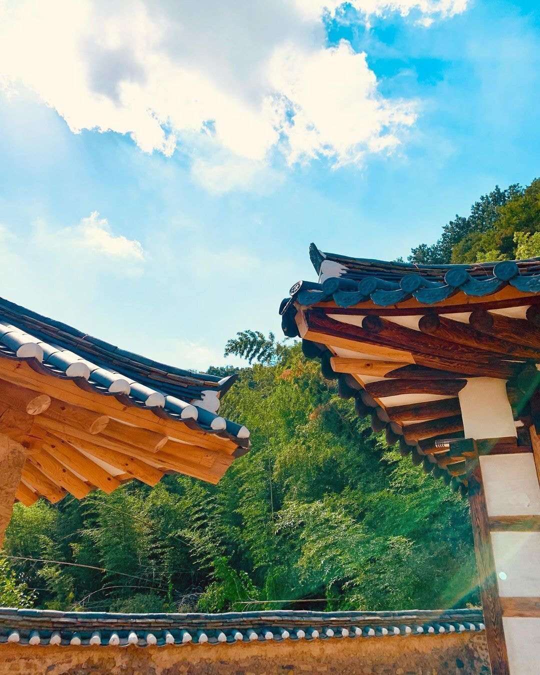 독일 다니엘의 인스타그램에 올라오는 한국 풍경 | 인스티즈