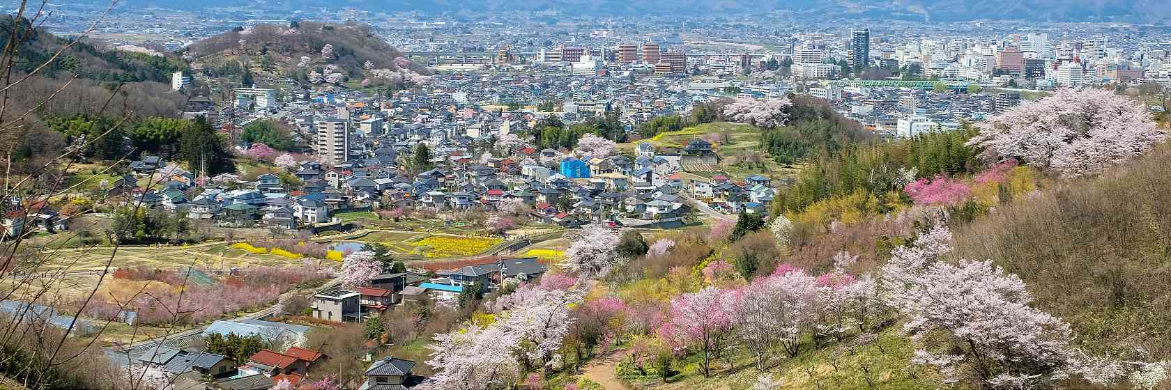 일본의 지방 도시들 사진 | 인스티즈