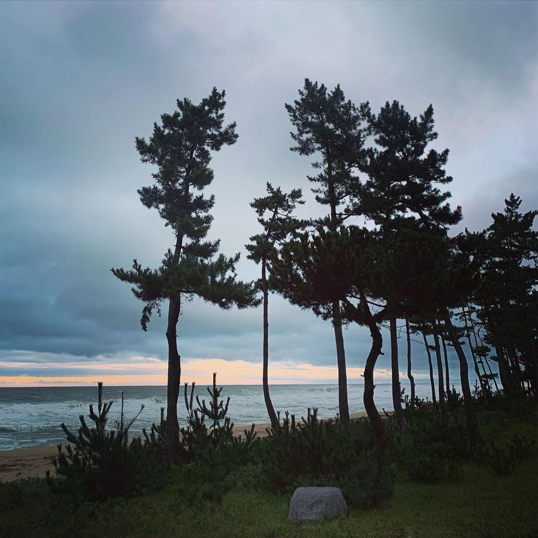 독일 다니엘의 인스타그램에 올라오는 한국 풍경 | 인스티즈