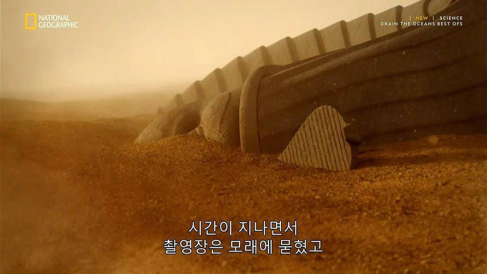 최근 사막에서 새롭게 발굴된 스핑크스 | 인스티즈