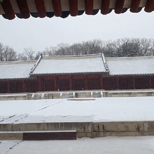 오늘자 눈 내리는 종묘 | 인스티즈