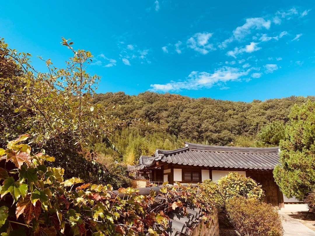 독일 다니엘의 인스타그램에 올라오는 한국 풍경 | 인스티즈