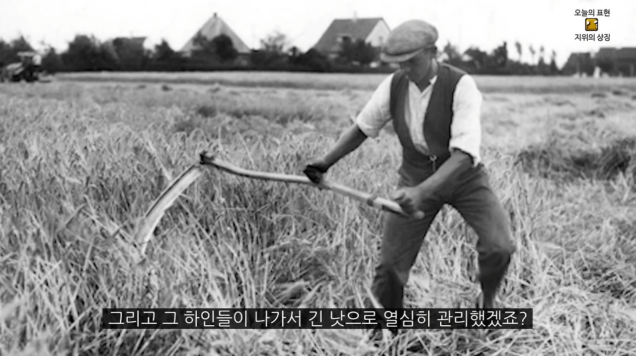 잔디와사람들 이미지