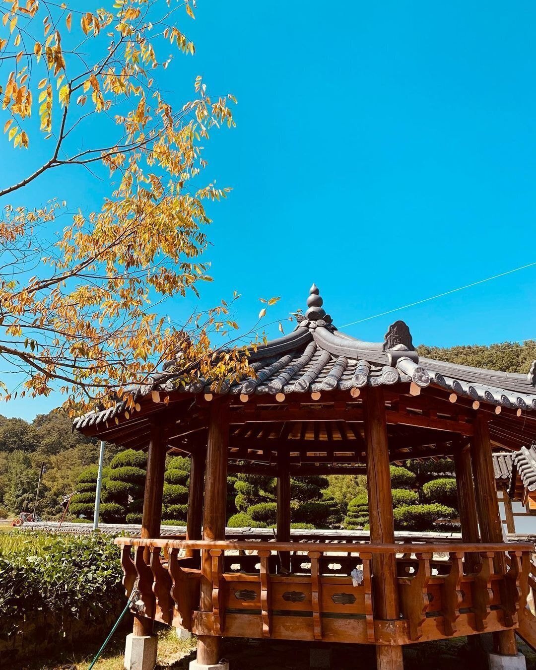 독일 다니엘의 인스타그램에 올라오는 한국 풍경 | 인스티즈