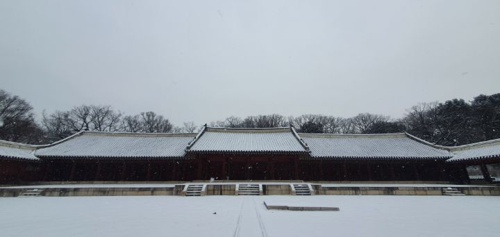 오늘자 눈 내리는 종묘 | 인스티즈
