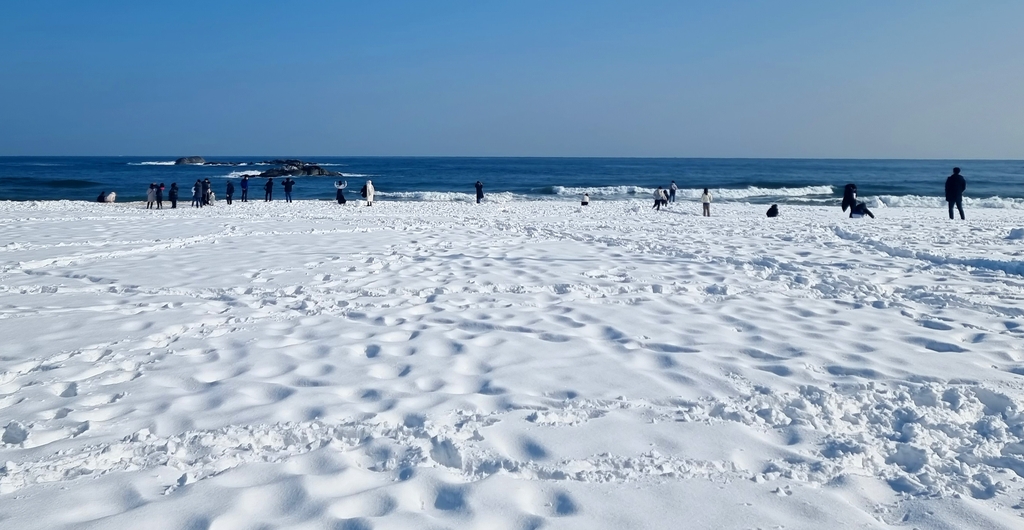 음주폭설로 하얗게 뒤덮힌 강릉 경포대 해변딸 키우는 집에 강아지 키우면 생기는 일.jpg운전 사망자를 90%까지 감소시킨 일본 | 인스티즈