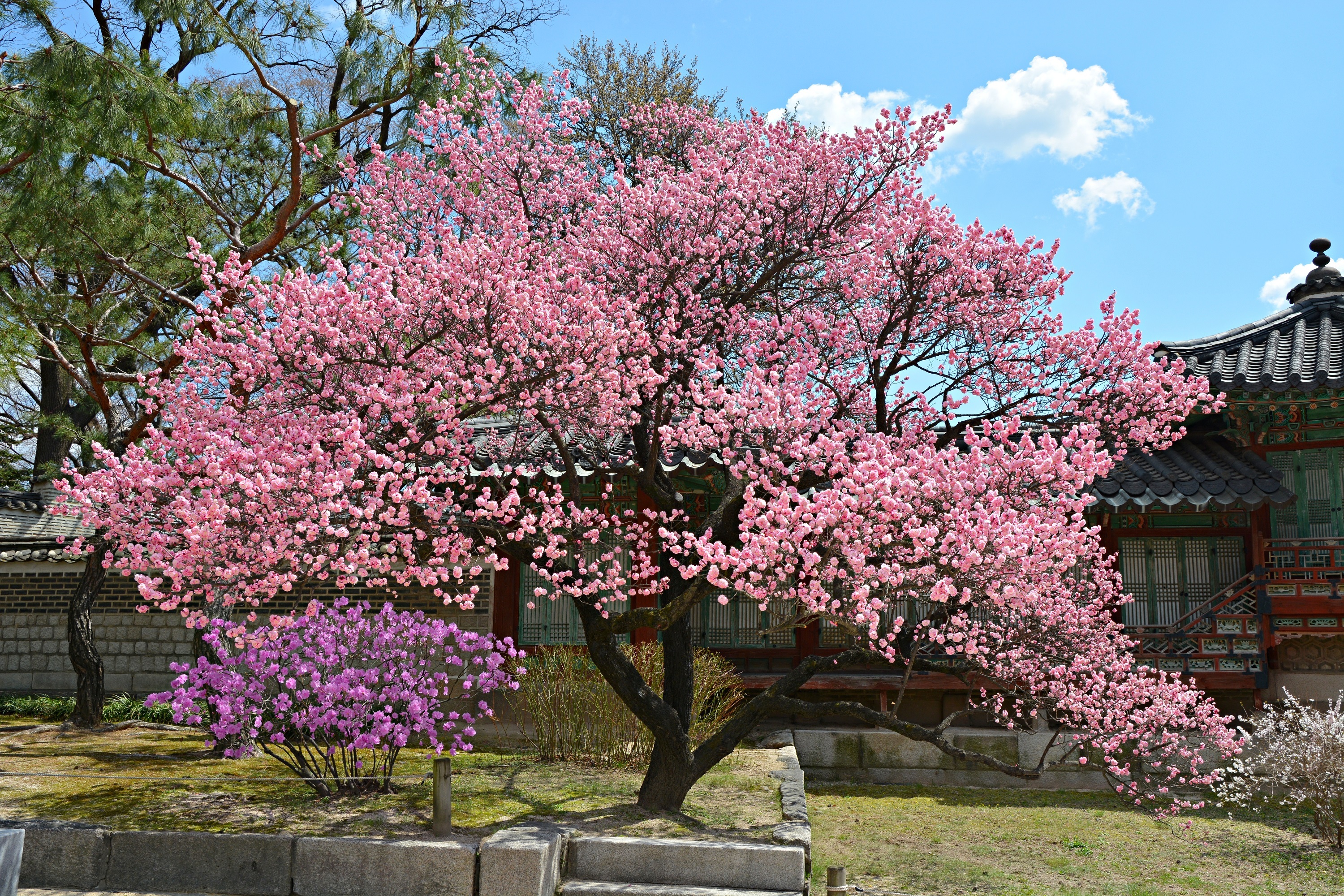 e6594f10f041c826772c3b265521e0ba92365e79