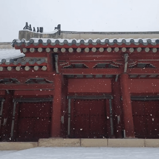 오늘자 눈 내리는 종묘 | 인스티즈