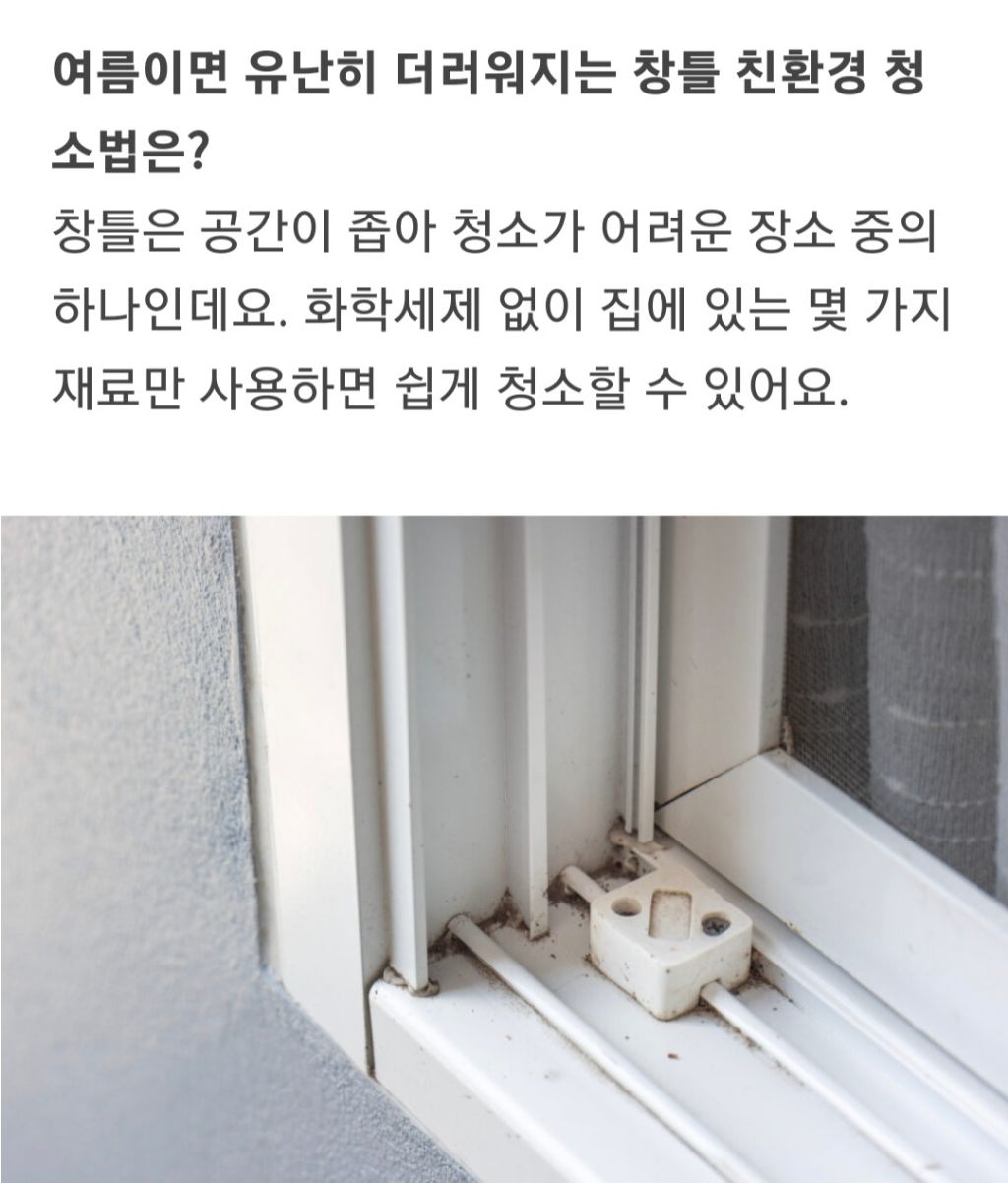 친환경청소 이미지