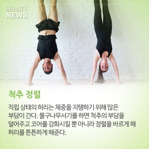 물구나무 이미지