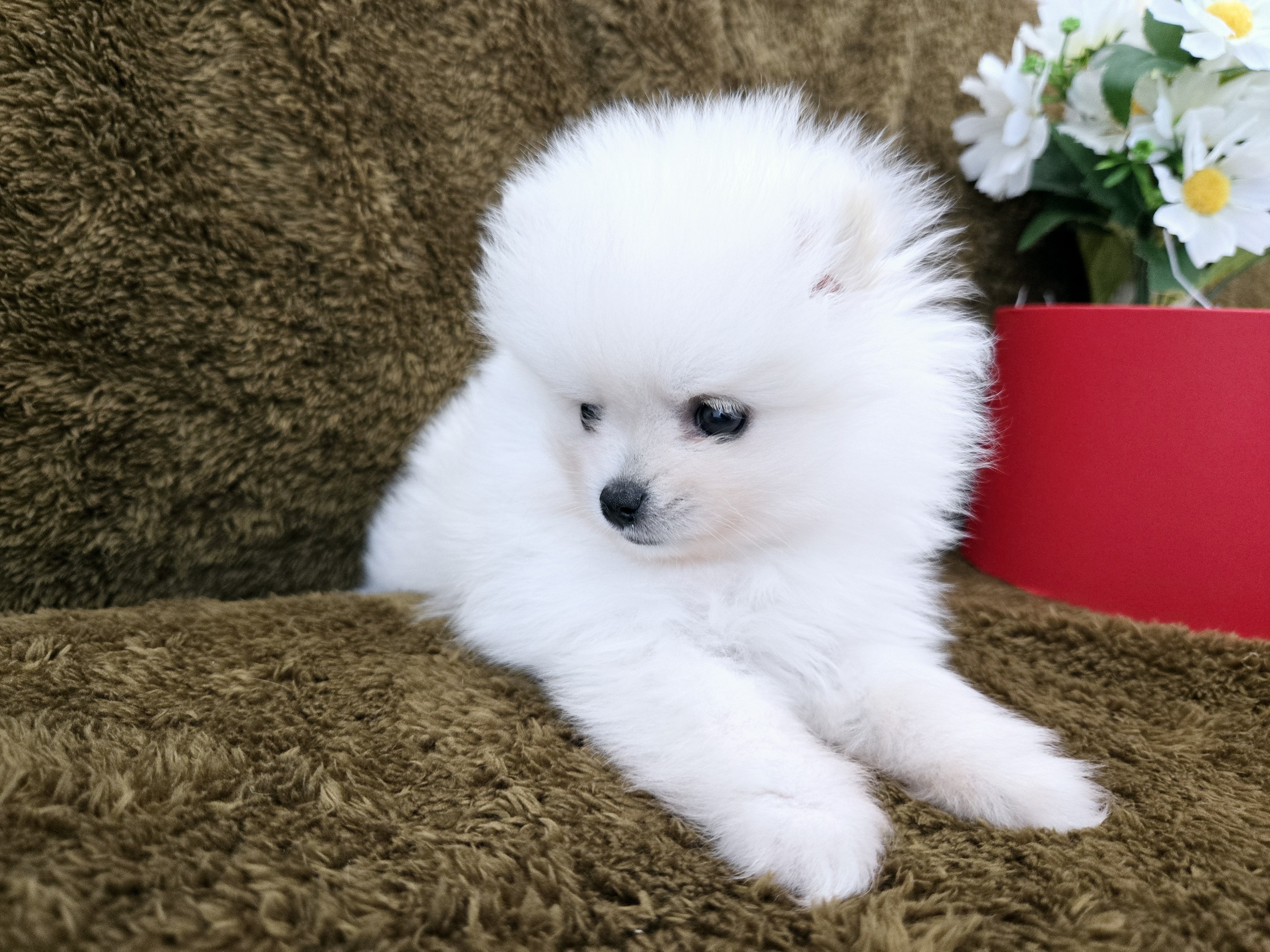 미래서비스 이미지