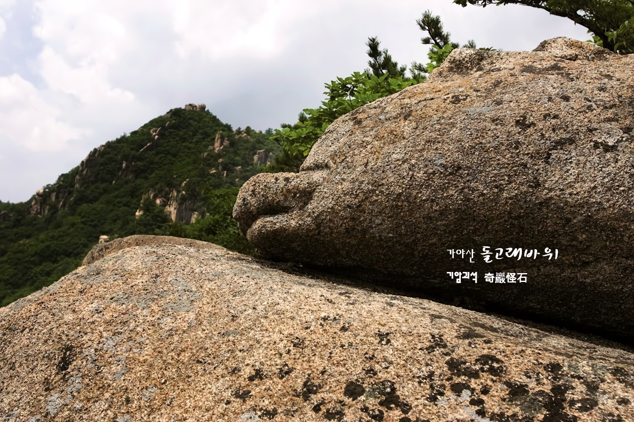 돌고래 바위? 이미지