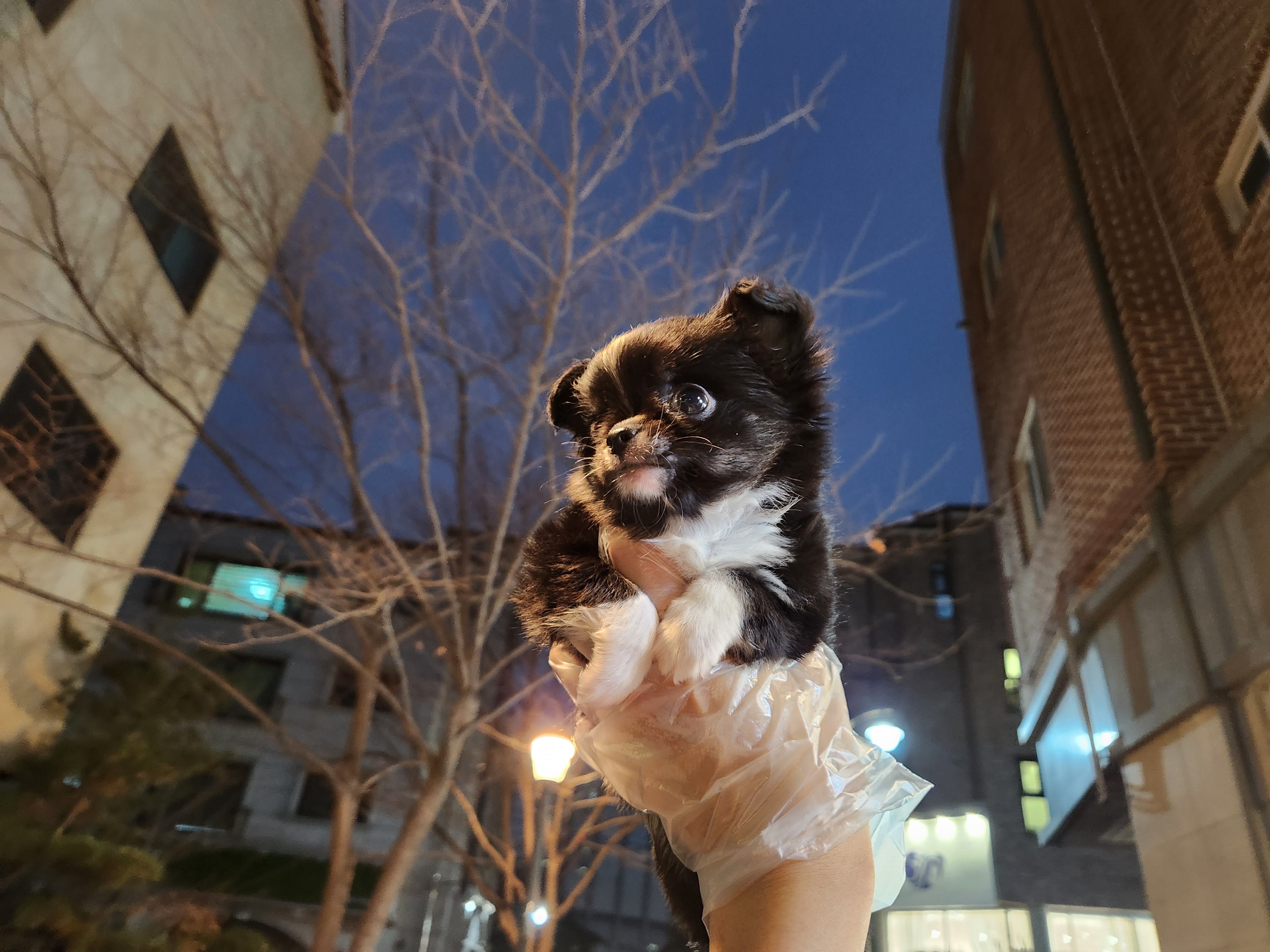 블랙파티 이미지