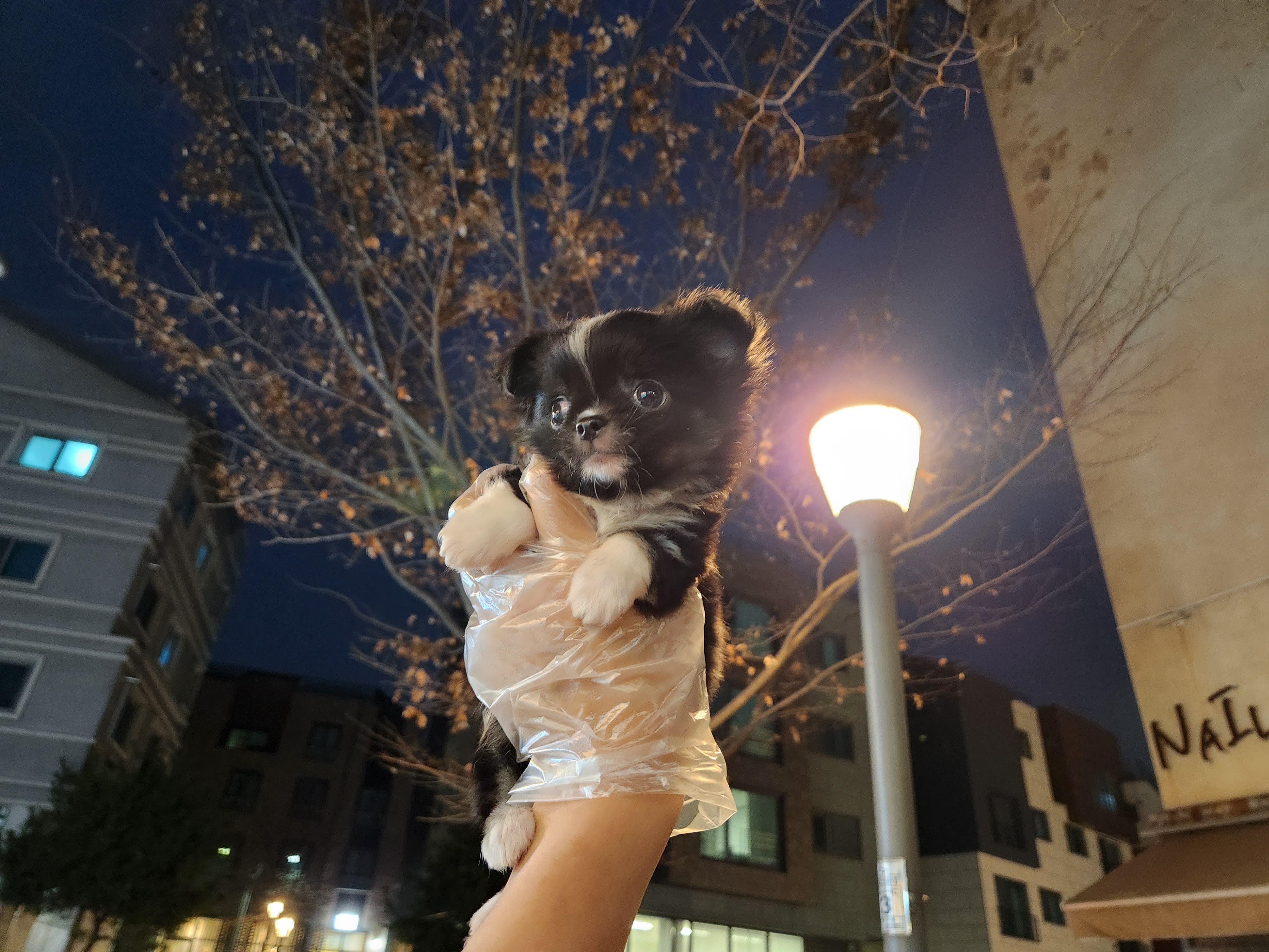 블랙파티 이미지
