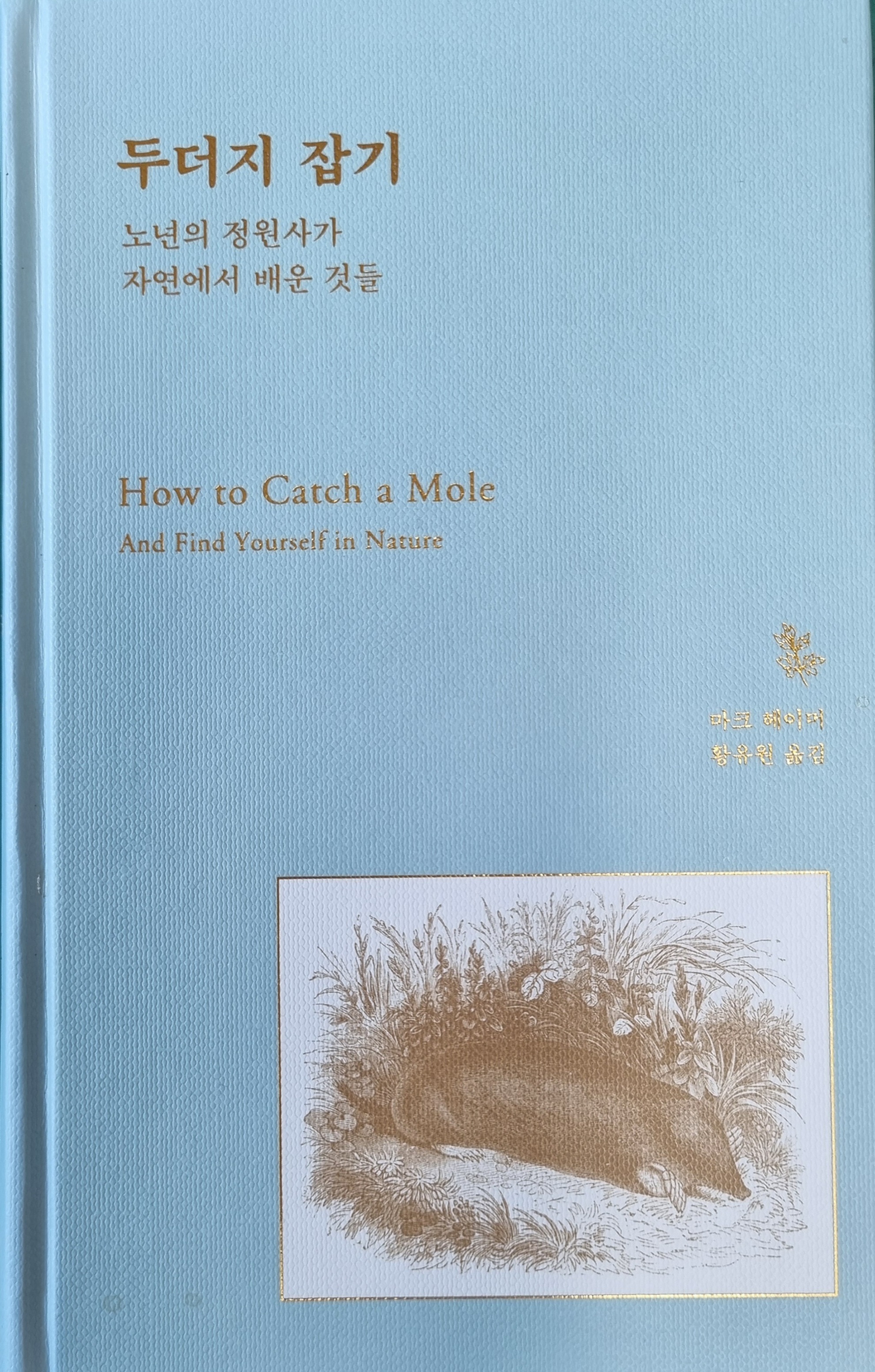 자연속에사람 이미지