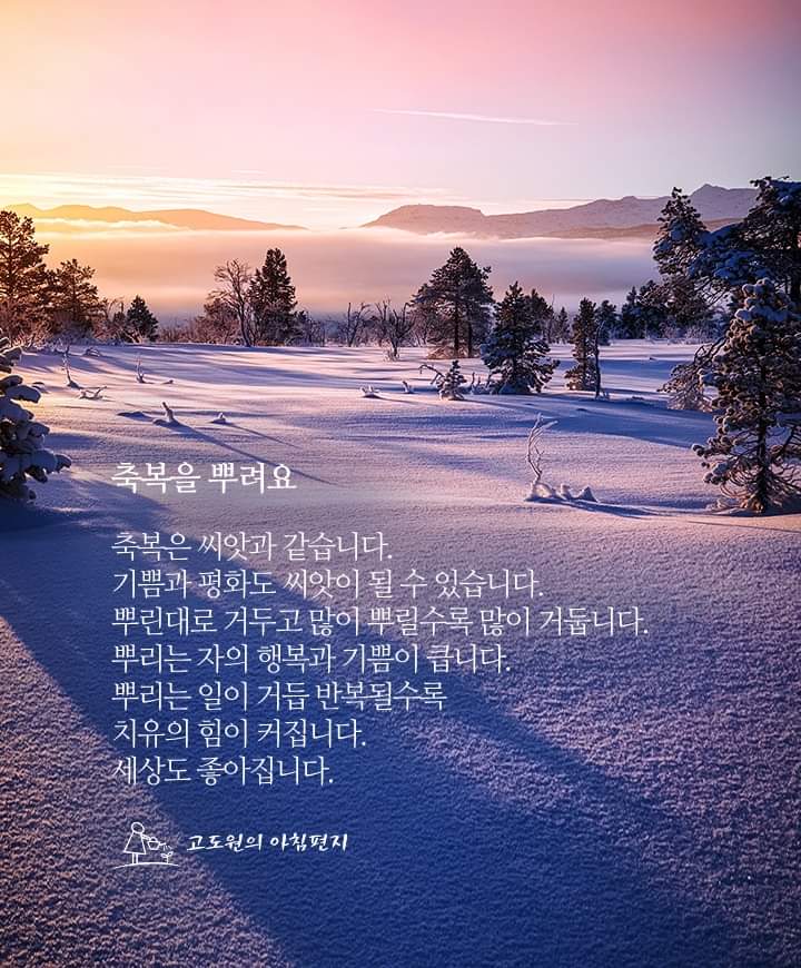 인생집 이미지