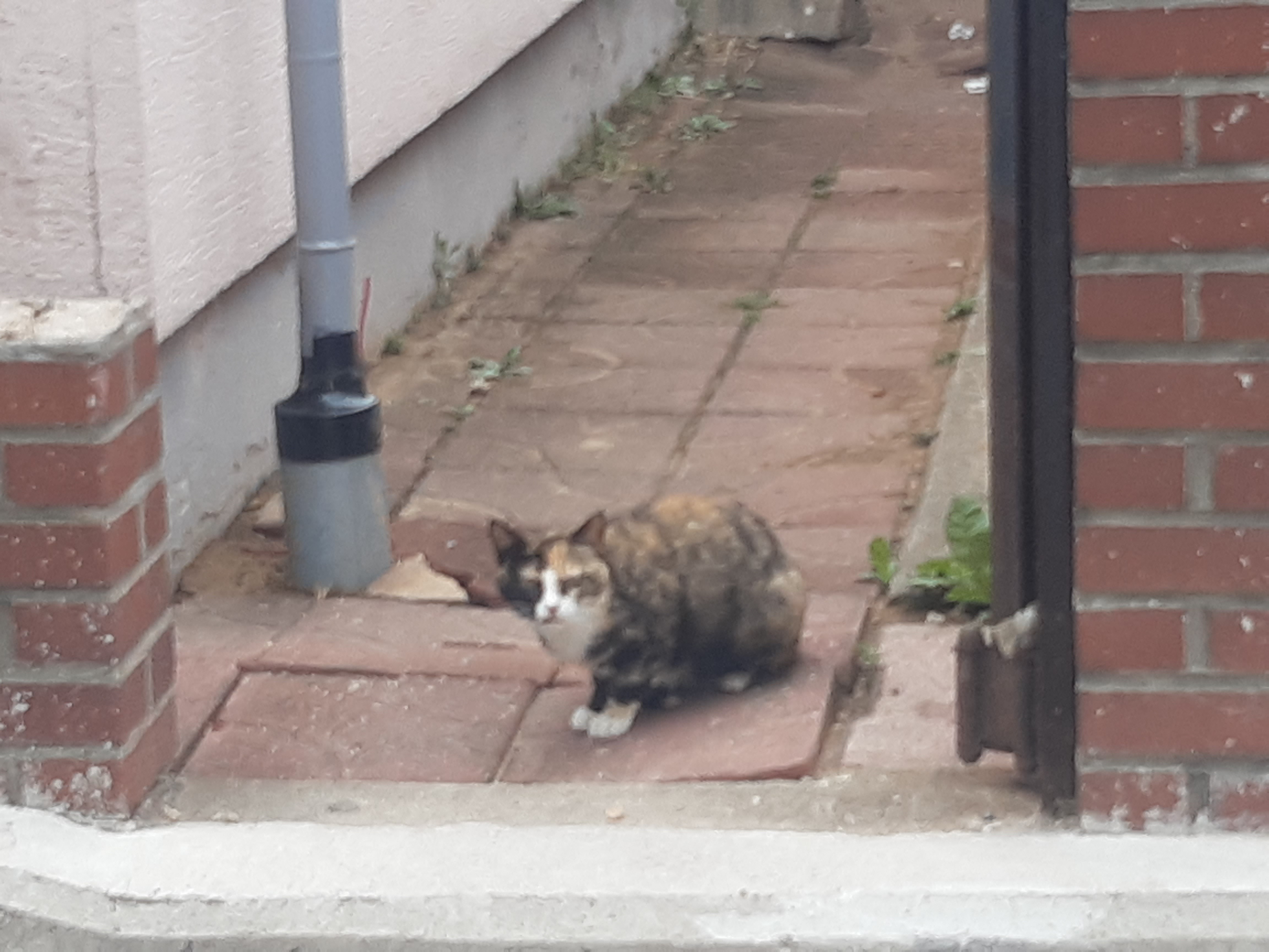 영해다방 이미지