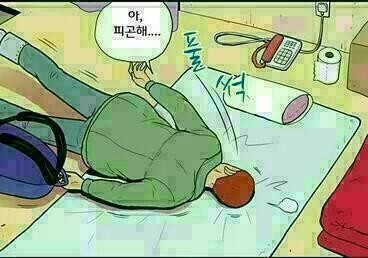 바리 이미지