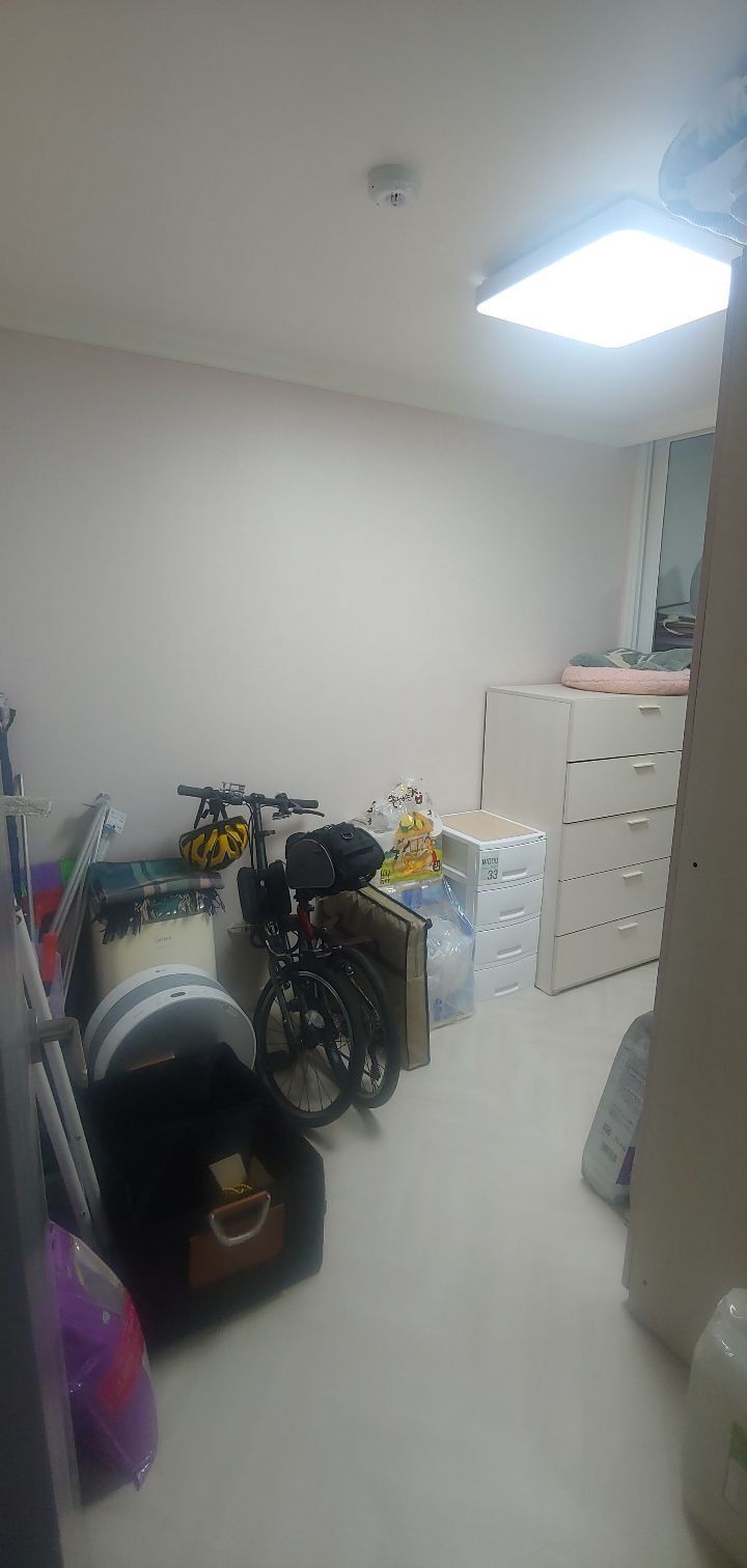Daum카페