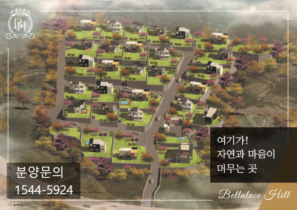 벨라루체 이미지