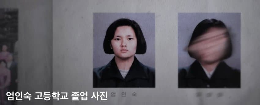 Daum 카페