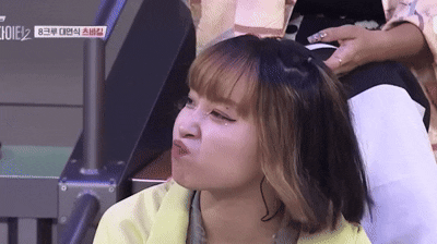 Daum 카페