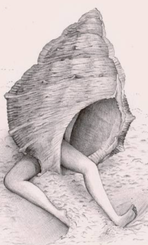 초예민한 사람들(HSP)의 인간관계 패턴 | 인스티즈