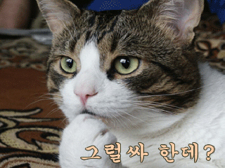 인 이미지