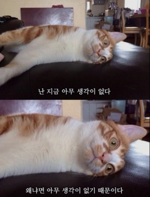 성실한사람들 이미지