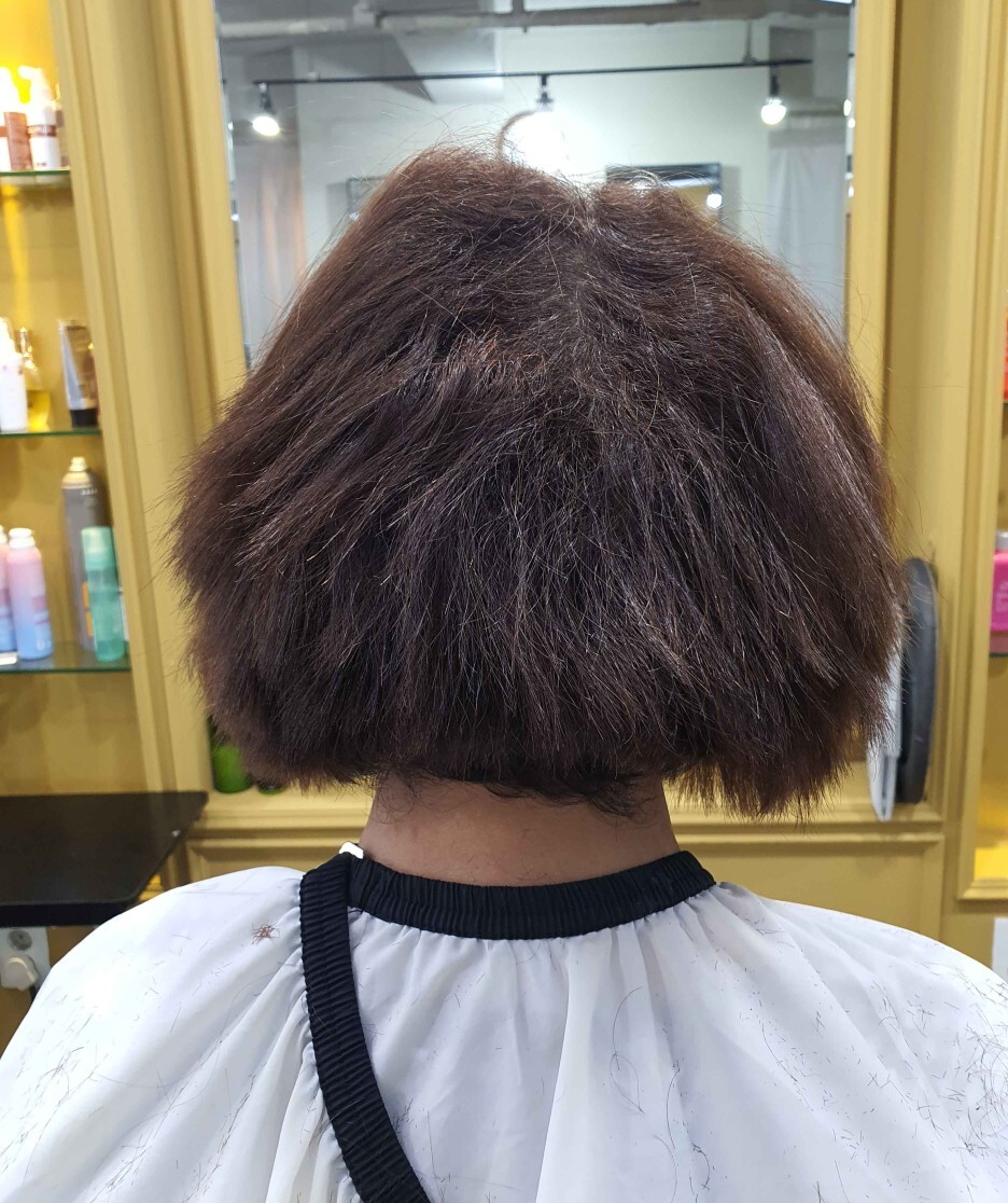 김송정머리터 이미지